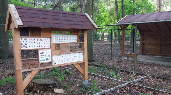 In de kijker: insectenhotel
